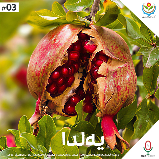 یەلدا